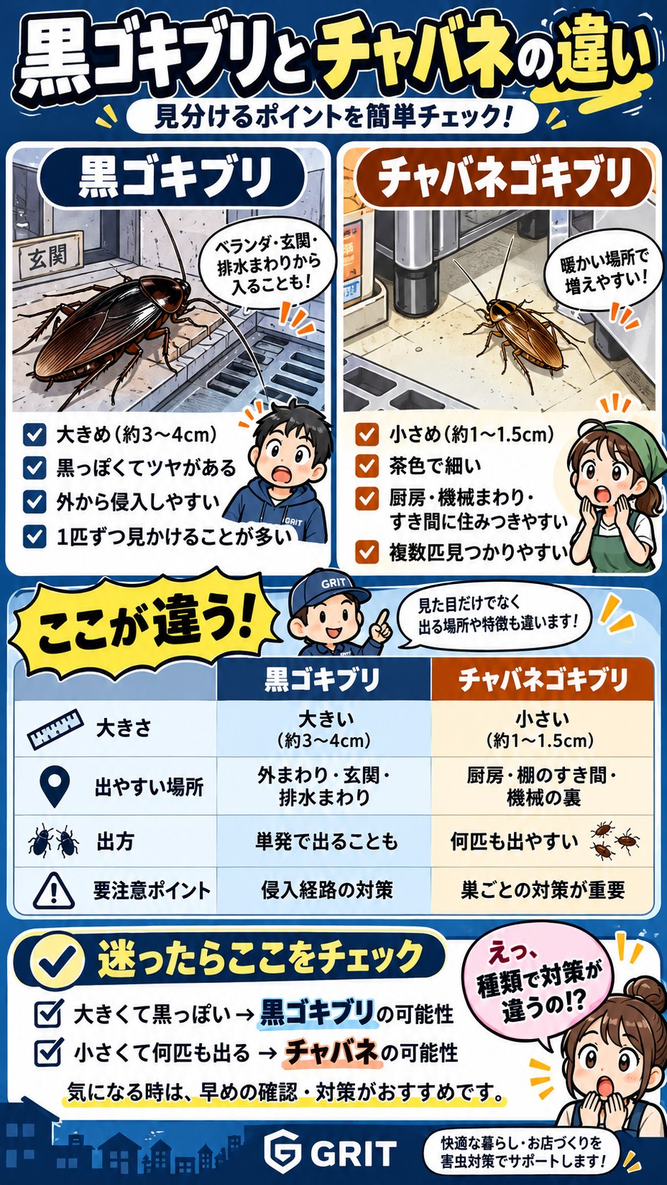 黒ゴキブリとチャバネゴキブリの大きさ・出やすい場所・対策の違いを比較した画像